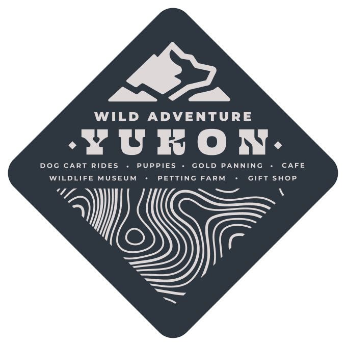 Diamond-shaped logo with 'Wild Adventure Yukon' and topographic lines, highlighting activities like dog rides and gold panning.